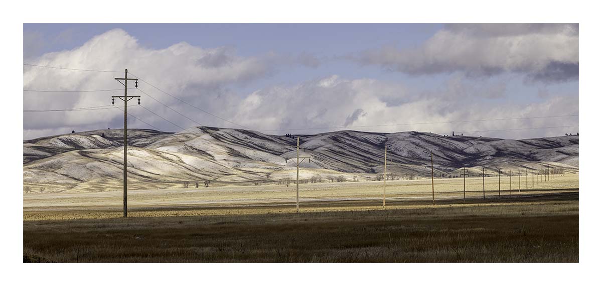 National Elk Refuge